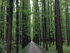 SS-上海怡沁园度假酒店