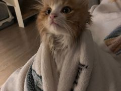 -任我游电竞(朝外店)