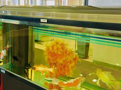 -中国建设银行(大连商品交易所支行)