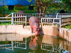 -西安秦岭野生动物园