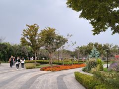 -上海山野camping·户外天幕烧烤·团建拓展营地