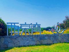 -西京湾花海