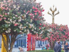 -长沙火车站(地铁站)