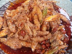 凉拌鸡-青城甲(青城山店)