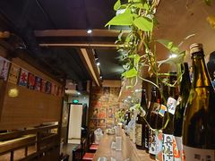 -春草居酒屋·晴子の店