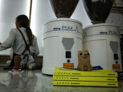 -Onirii Coffee(长乐路店)