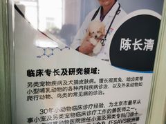 -北京观赏动物医院·24小时大型综合·猫专科·异宠专科
