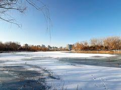 -朝阳公园游乐园