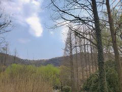 -中国丝绸博物馆