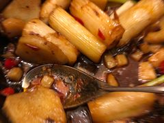-美泉宫饭店美泉盛宴海鲜