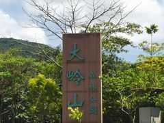 -东莞市大岭山森林公园