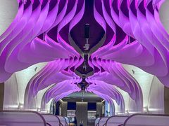-曼格纳·曼芯馆(杨浦店)