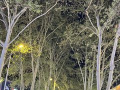 -健康路夜市