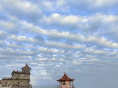 -小麦岛公园