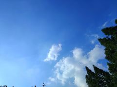 -国际非物质文化遗产博览园