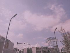 -三圣花乡旅游区