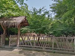 -兰亭风景区