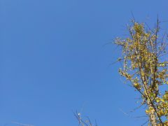 -观唐（国际）度假村温泉