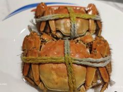 -张江海科雅乐轩聚聚乐