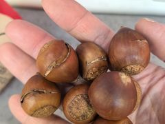 -杨记板栗(天虹总店)