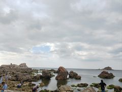 -养马岛旅游度假区