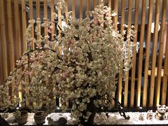 -彩葉·樱花屋日本料理(动物园店)