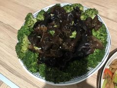 -田螺阿姨自营月嫂·育儿嫂(高新店)