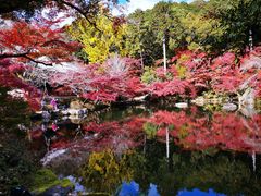 -醍醐寺