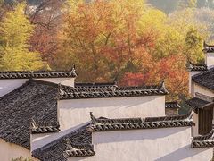 -塔川景区