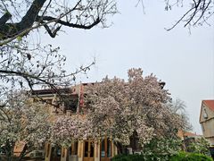 -天津五大道文化旅游区