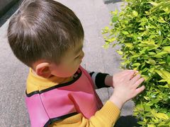 -黄浦乐烁龙鱼宝贝托育园(海潮路校区)