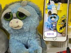 -志龙皇冠吃货椰子铺