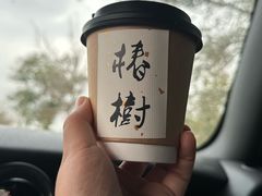 -椿树咖啡