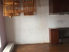 -金山农民画村-枫泾波兰倒置屋