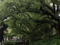 -古堰画乡景区