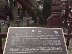 -晋祠博物馆
