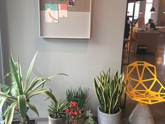 -dotcom coffee古点咖啡(致真大厦店)
