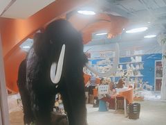 -新奥购物中心