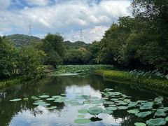 -八卦田遗址公园