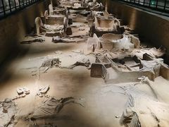 -洛阳周王城天子驾六博物馆