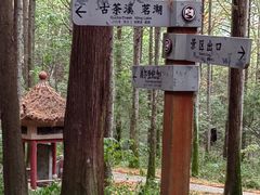 -波尔登森林公园