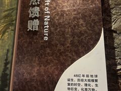 -陕西自然博物馆