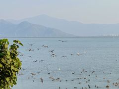 -深圳湾公园(南山区)