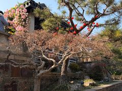 -无锡梅园公园
