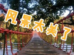 -深圳湾公园(南山区)