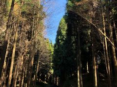 -山王坪喀斯特国家生态公园