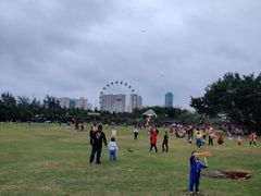 -万绿园