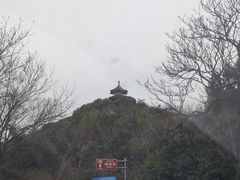 -上海佘山国家森林公园天马山园