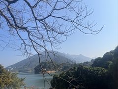 -广州市流溪河国家森林公园