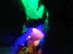 -泰安地下龙宫景区